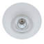 1 - Light Pendant