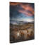 King Penguins And Mountains - Wrapped Canvas-56659123