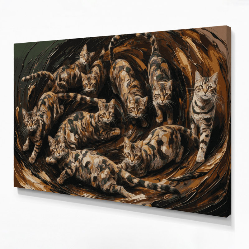 Cats Sokoke Brown, art mural sur toile, H 24 po x l 36 po