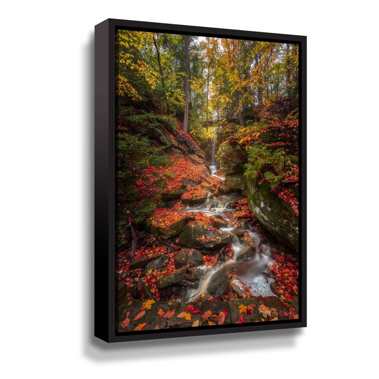 Millwood Pines Chagrin Falls Waterfall Framed On Canvas Print | Wayfair