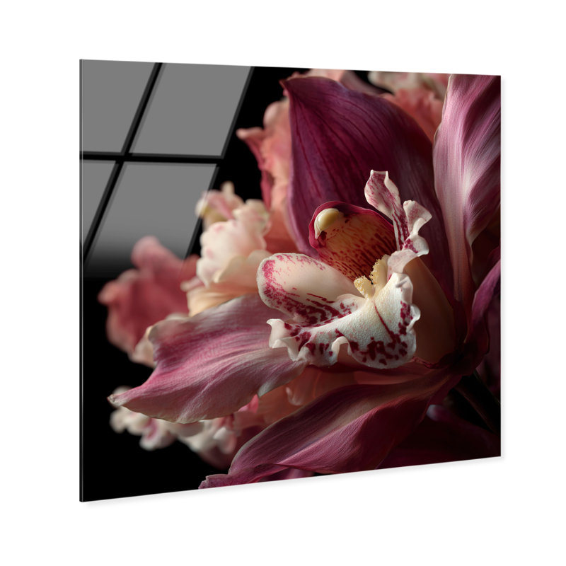 Velvet Labellum High-Gloss Frameless Acrylic Glass Wall Art Floral & Botanical Print by Oliver Gal, Ready to Hang, 12 x 12