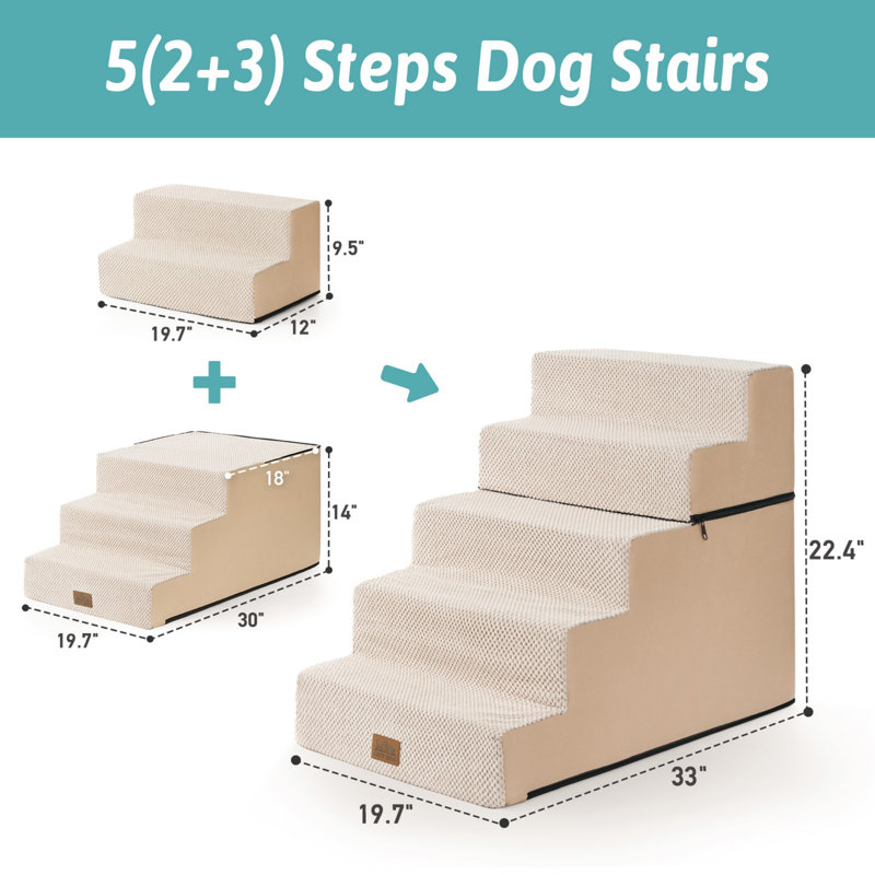 Escalier pour chien pliable à 5 niveaux avec escalier pour chien, Beige