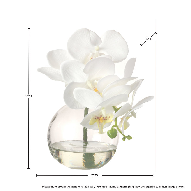 Orchids Arrangement in Jar