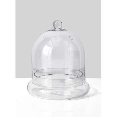 Hantsport Glass Terrarium