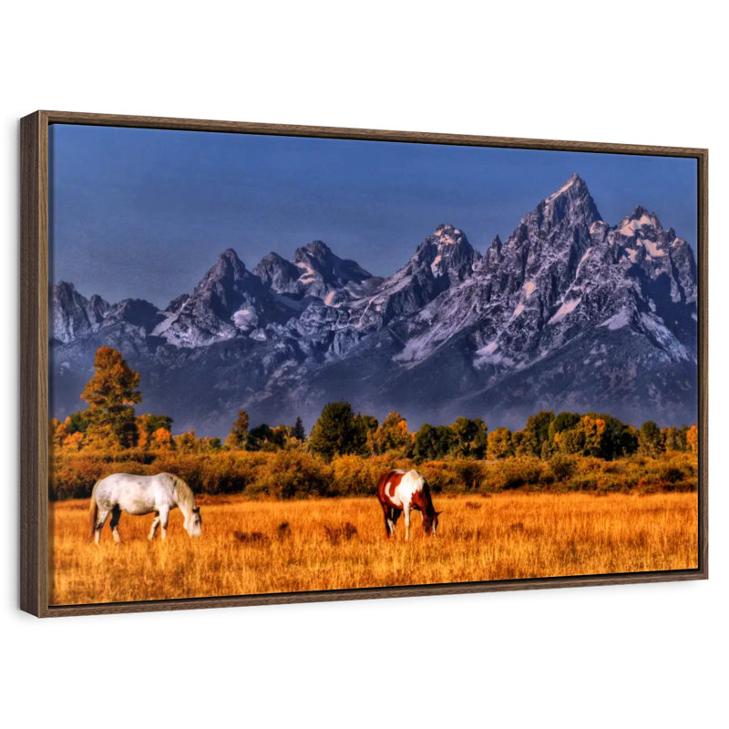 Chevaux paissant à Grand Teton, Cadre flottant noyer, 43 po x 29 po