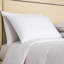 Cortina Down Blend Bed Pillow-48491629-128783075