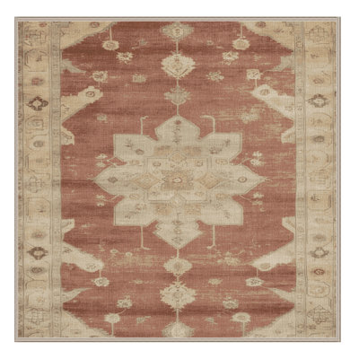 Machine Washable Overdyed Brown Area Rug