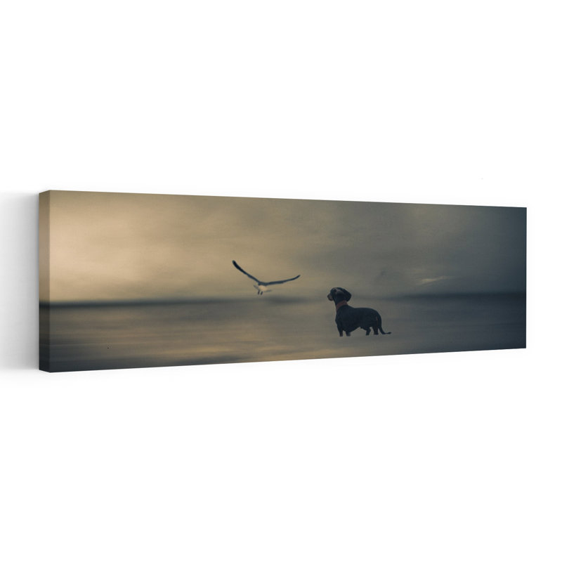 Dreamy Dachshund Seagull by Heike Willers - Wrapped Canvas Panoramic Print, 91.44 cm H x 30.48 cm W