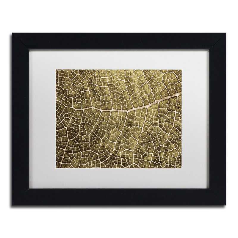« sépia leaf texture », reproduction de photo sur toile encadrée, H 16 po x l 20 po x P 0,5 po, Noir
