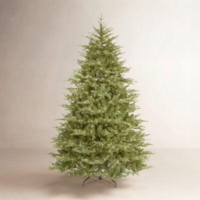 National Tree Co. 7.5' Pre-Lit Dunhill Fir Tree W/Clear Lights And Stand Australia