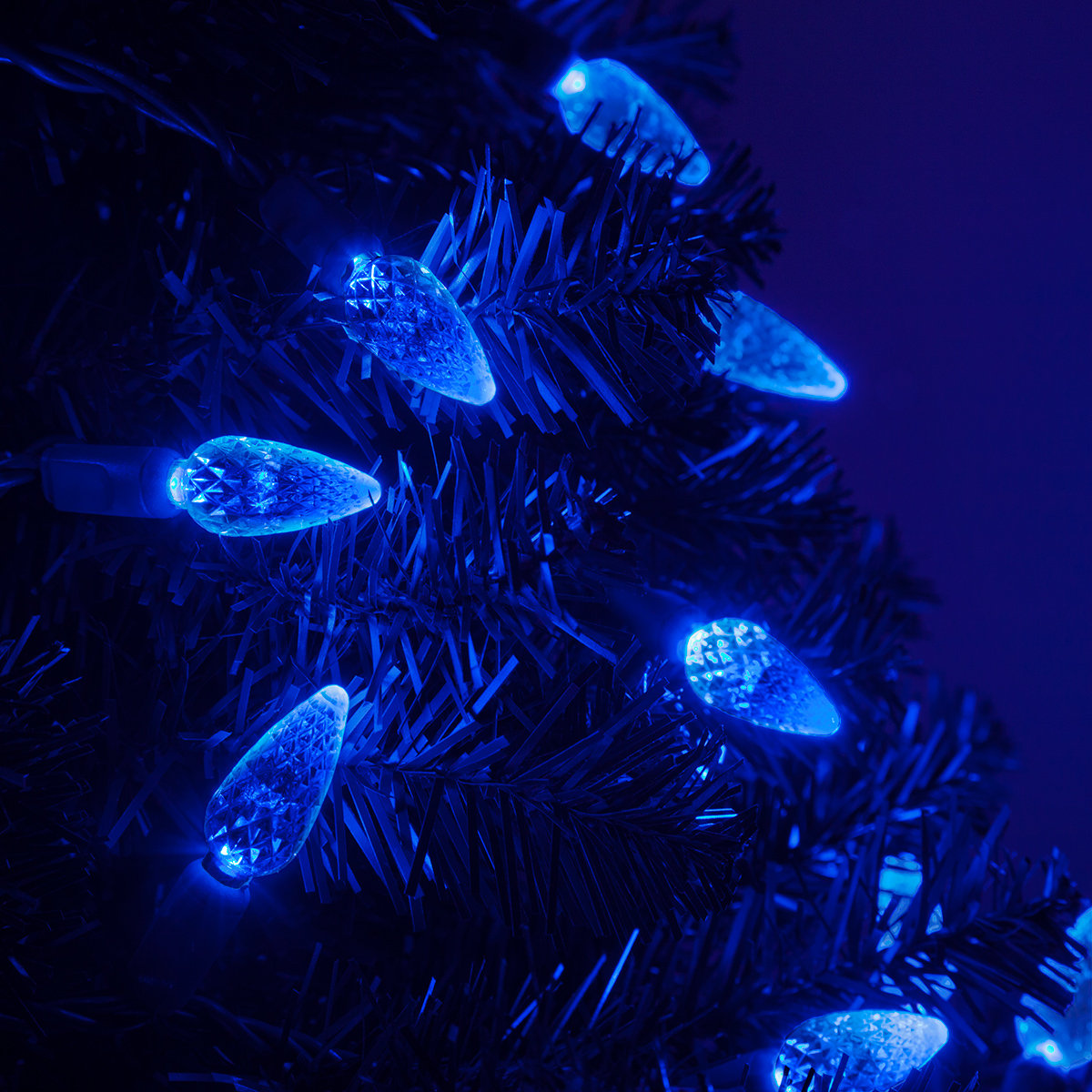 70-Light C6 LED Christmas String Lights, Blue