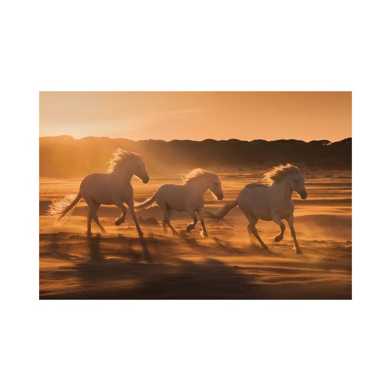 White Angels Of Camargue XLII by Daniel Kordan - Wrapped Canvas Print, 101.6 cm H x 66.04 cm W x 1.91 cm D