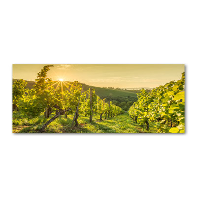 Vineyard - Wrapped Canvas Print