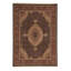 Wool Oriental Area Rug