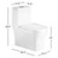 Dual-Flush One-Piece Toilet (Seat Included)-48500708