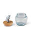 Pet Glass Jar