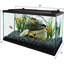 Aquarium, 10 gallons, ensemble complet d'aquarium tropical avec éclairage DEL pour poissons d'eau douce