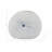 Round Dotted Shell Vase, White/Blue-1237249280