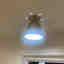 Photos des clients 1 de 3