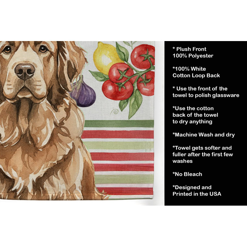 Torchon brun brun Terre-Neuve, Brown Newfoundland