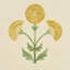 Saranda Flower Sisal Wallpaper-1578943611