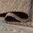 Alianna Modern Flatweave Solid Brown Indoor/Outdoor Rug-64509396