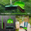 Complete Outdoor Cleaning Set 10" Heavy Duty Yard Brush & Large Dustpan