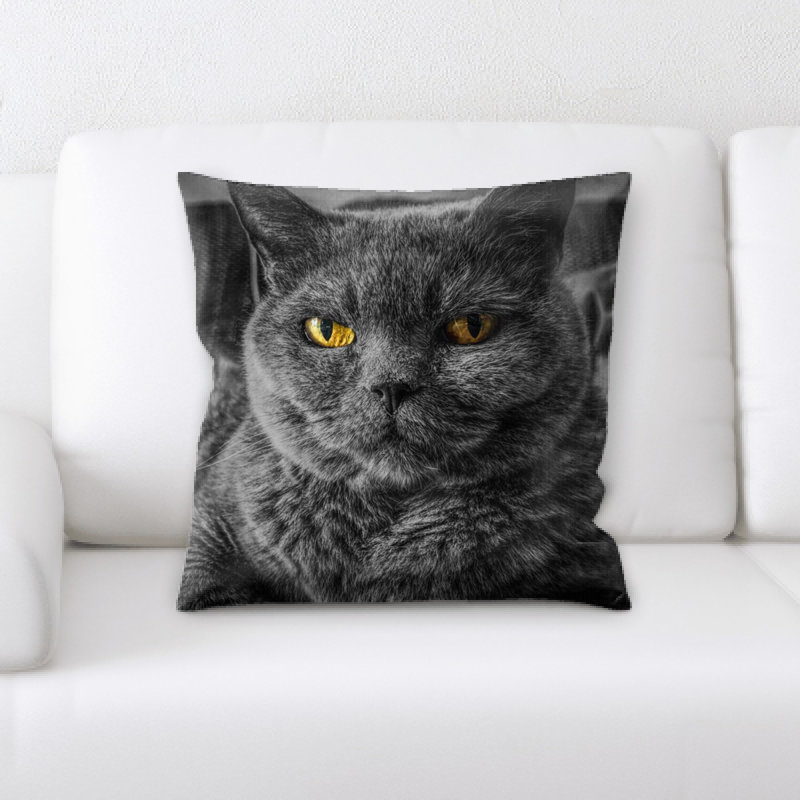Coussin pour chat