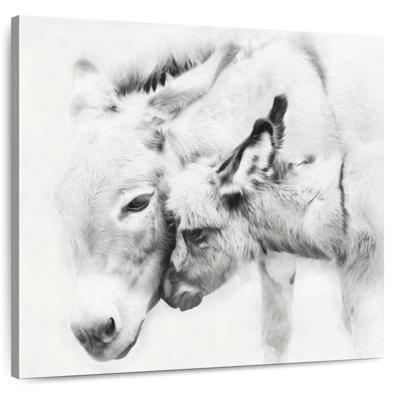 Brampt Donkey Portrait III