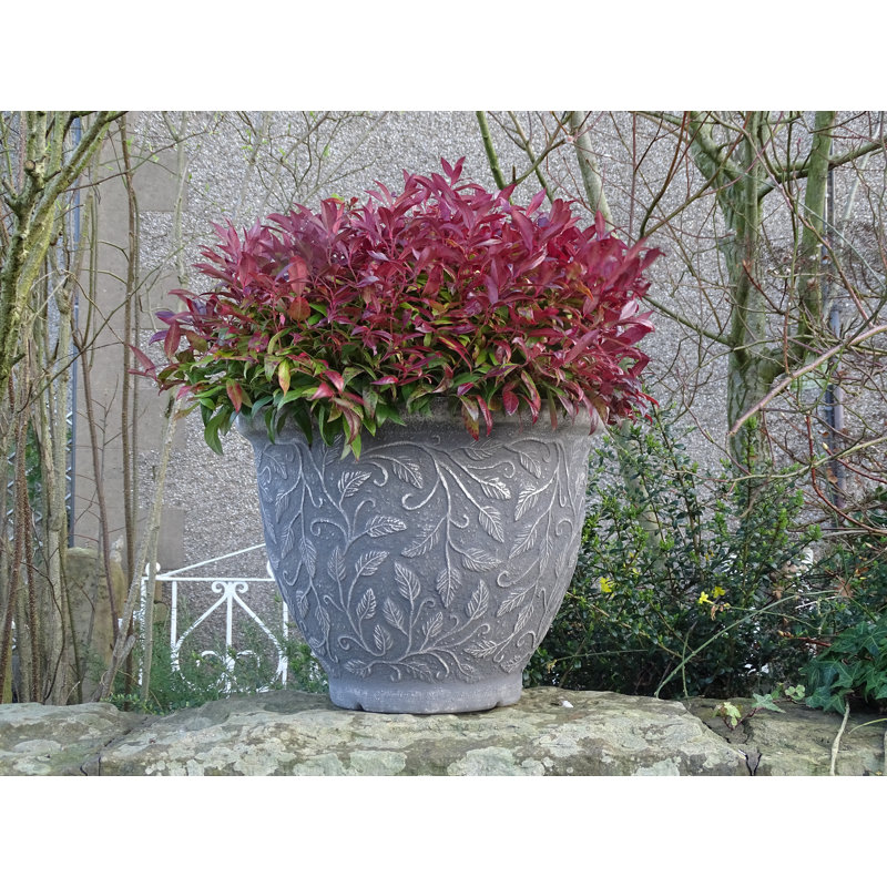 Montanez Pot Planter, 38 cm H X 50 cm W x 50 cm D