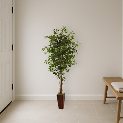 Ficus Tree with Bamboo Planter