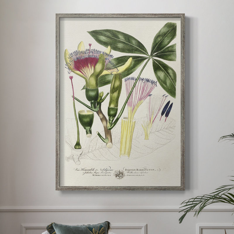 «Imperial Tropical Botanical II», reproduction encadrée - bois massif, H 11 po x l 9 po