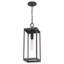 Mini-luminaire suspendu 1 lumière Wiebe-63380491