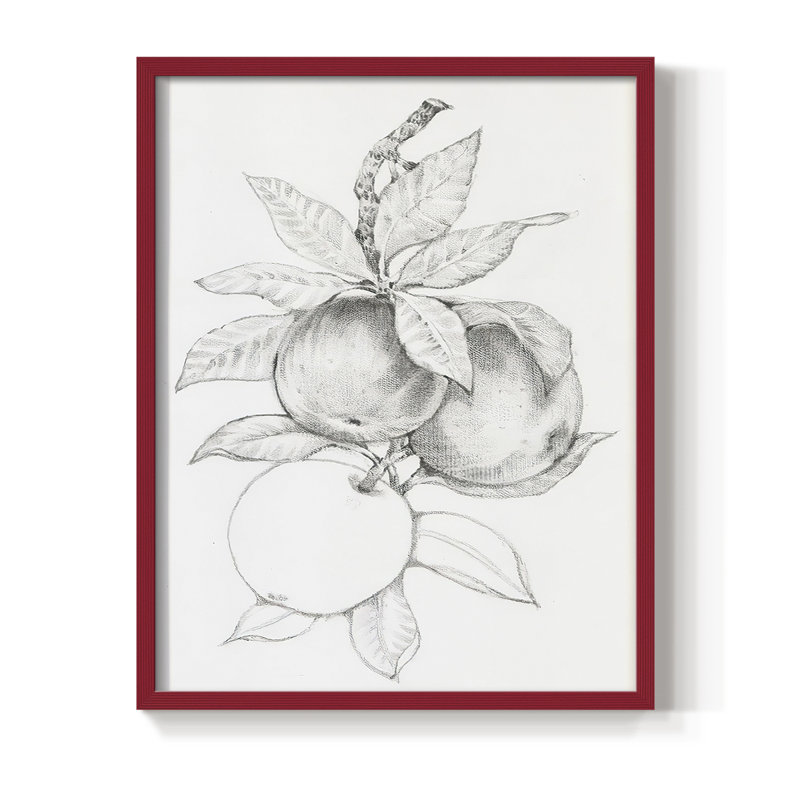 Impression encadrée FruitBearing Branch II - bois massif, Blanc, H 14 po x l 11 po