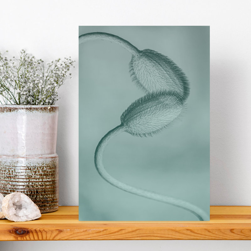 Molly Fu APA - Wrapped Canvas Print, 45.72 cm H x 30.48 cm W