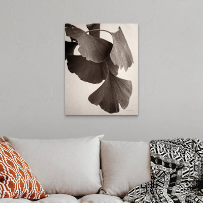 Gingko Sepia - Print on Canvas