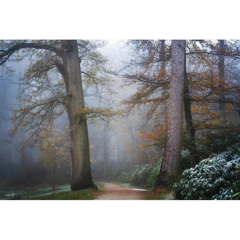 Chemin paisible, H 32 po x l 48 po