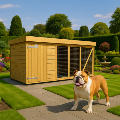 Dog Kennel and Run