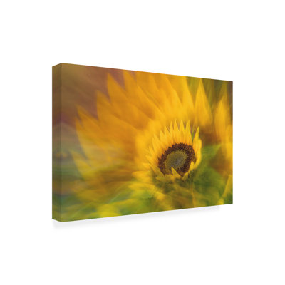 Art sur toile tournesol Bachelor Dirk Thies