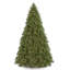 Jersey Fraser Fir Medium Tree with Dual Color LED Lights-1937365295