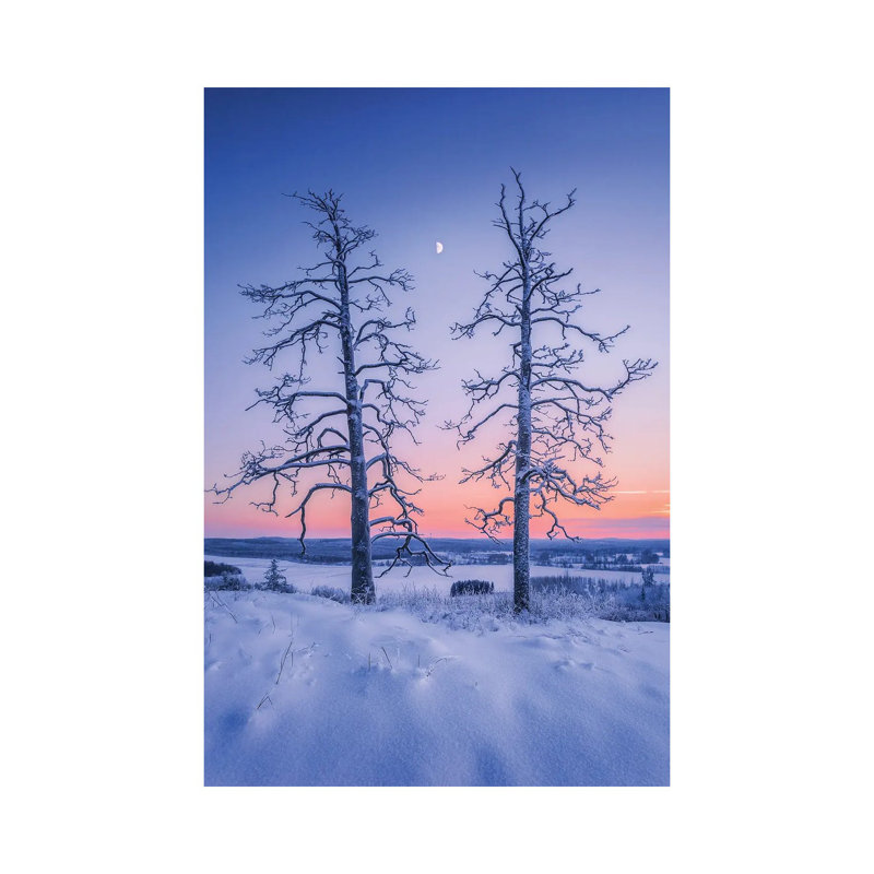 Two Guardians by Lauri Lohi - Wrapped Canvas Print, 20.32 cm H x 30.48 cm W