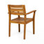 Ensemble de 2 chaises d'extérieur Farmhouse-1572860188