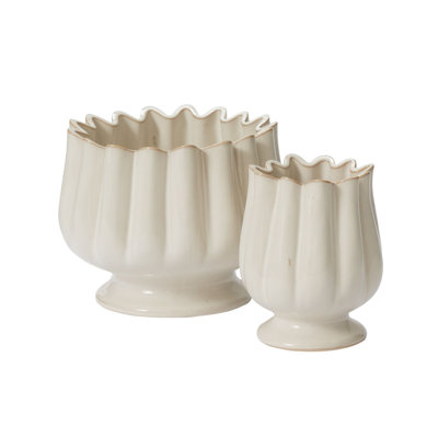 Tulipe compote