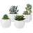 4.3'' Faux Succulent in Ceramic Pot