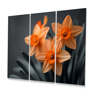 Monochromes tournesol sourire jonquilles I - ensemble d'art mural jonquilles