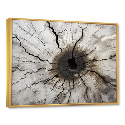 " Tree Cut Stump Beauty I "
