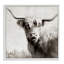 Giclée Highland Cow par Danita Delimont-1962529386-1962529387