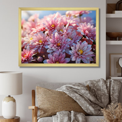 " Pink Chrysanthemums Field "
