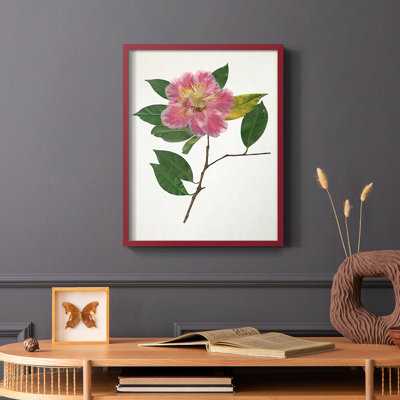 Reproduction encadrée pressée Camellia II - bois massif