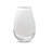 Daniyar Glass Table Vase-243367508-243367506